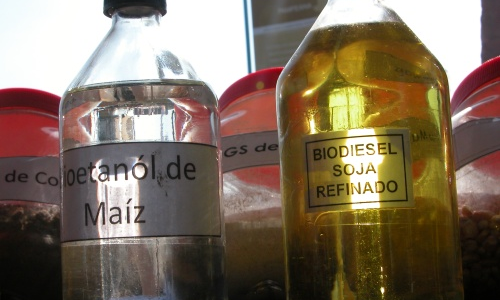 biodiesel