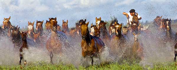 El gaucho