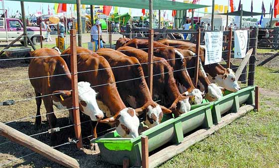 expoagro