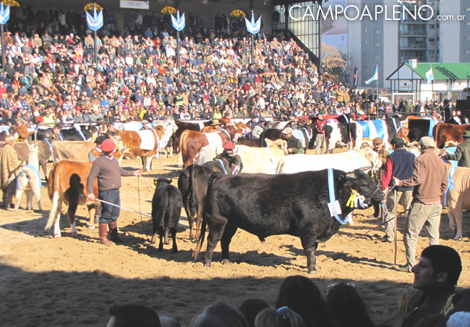 Campo a Pleno - La Rural 2014 - Inauguracion Oficial 3