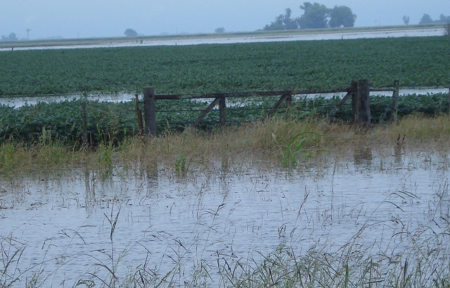 inundaciones