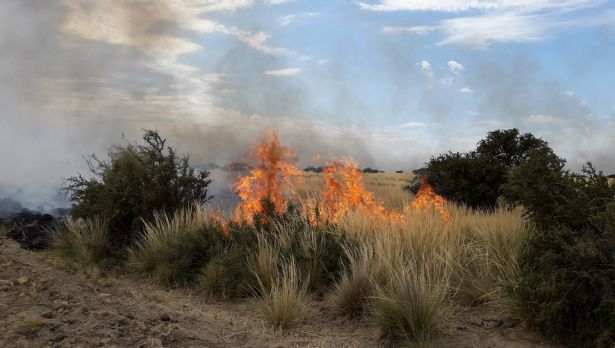 incendios-campos