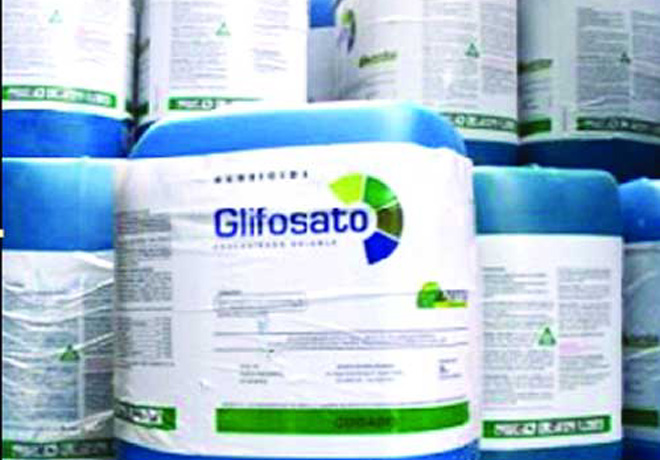 glifosato