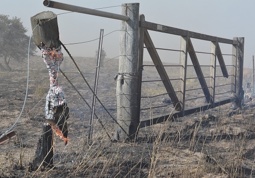 Incendio en Mendoza1