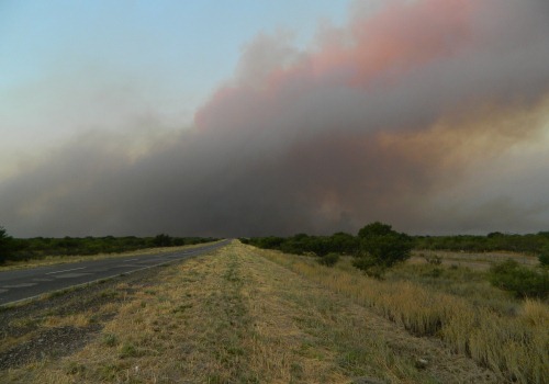 La Pampa - Incendios