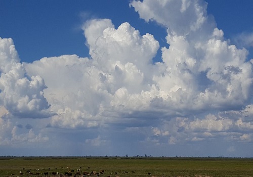 Inta déficit lluvias