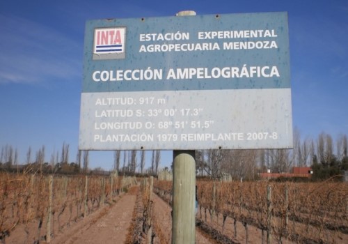 INTA. Estación experimental agropecuaria Mendoza