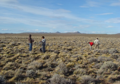 Biodiversidad