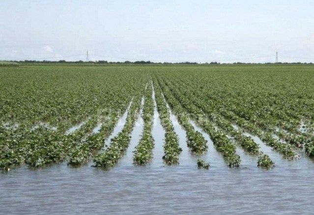 Inundación Chaco