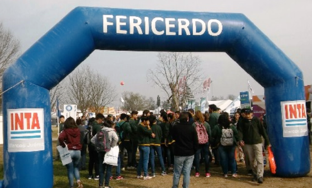 Fericerdo