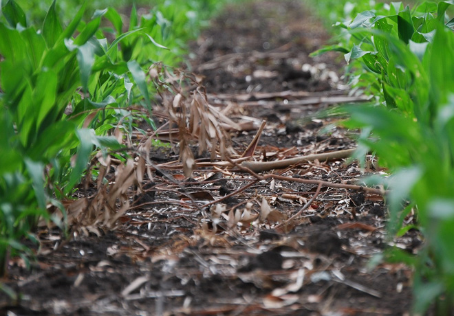 INTA - Producir mas alimentos con menor impacto ambiental