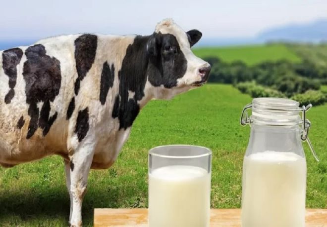 Mayores costos de producción y menos leche en el mundo.