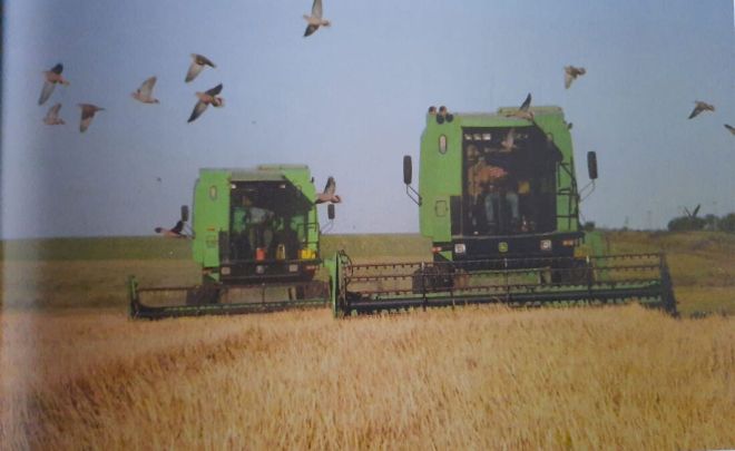 Los números no cierran en el arroz por la baja en los precios y un contexto internacional desfavorable.