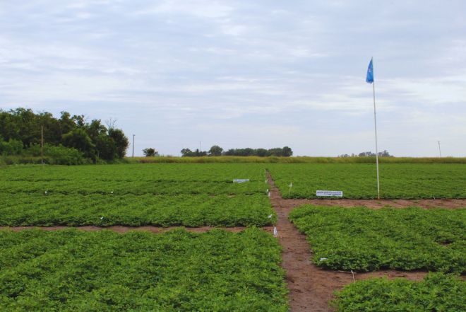 Articulación que acelera la llegada de la tecnología al campo.