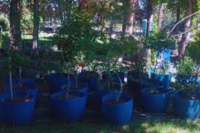 Impulsan estrategia para convertir agua industrial en agua de riego.