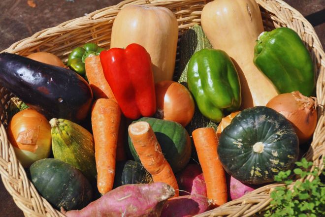 El INTA impulsa la innovación y la integración de la cadena hortícola.