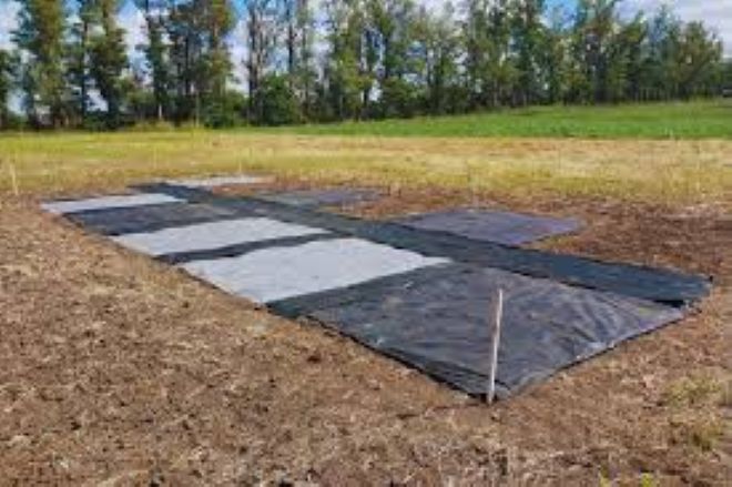 Con radiación solar reducen en un 50 % la aparición de malezas.